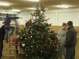 img_7889_web